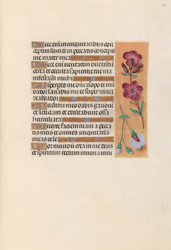 Hours of Queen Isabella the Catholic, Queen of Spain:  Fol. 247r, c. 1495-1500. And associates Master of the First Prayerbook of Maximillian (Flemish, c. 1444-1519). Ink, tempera, and gold on vellum; codex: 22.5 x 15.2 cm (8 7/8 x 6 in.).