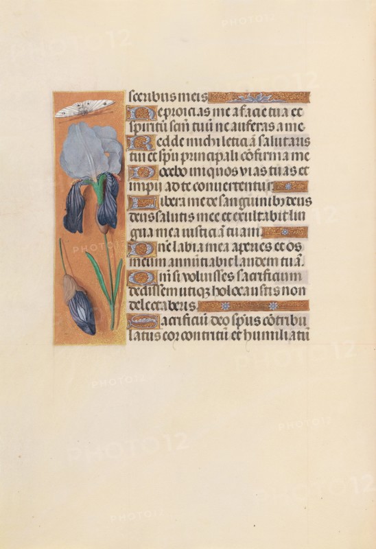 Hours of Queen Isabella the Catholic, Queen of Spain:  Fol. 247v, c. 1500. And associates Master of the First Prayerbook of Maximillian (Flemish, c. 1444-1519). Ink, tempera, and gold on vellum; codex: 22.5 x 15.2 cm (8 7/8 x 6 in.)