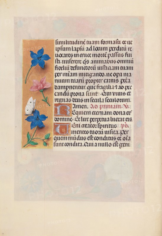Hours of Queen Isabella the Catholic, Queen of Spain:  Fol. 25v, c. 1500. And associates Master of the First Prayerbook of Maximillian (Flemish, c. 1444-1519). Ink, tempera, and gold on vellum; codex: 22.5 x 15.2 cm (8 7/8 x 6 in.)