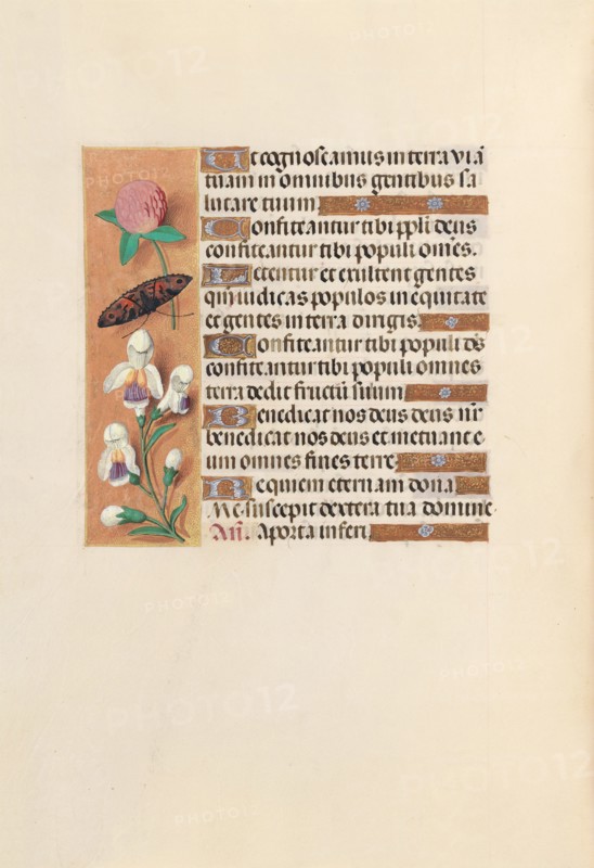 Hours of Queen Isabella the Catholic, Queen of Spain:  Fol. 250v, c. 1495-1500. And associates Master of the First Prayerbook of Maximillian (Flemish, c. 1444-1519). Ink, tempera, and gold on vellum; codex: 22.5 x 15.2 cm (8 7/8 x 6 in.).
