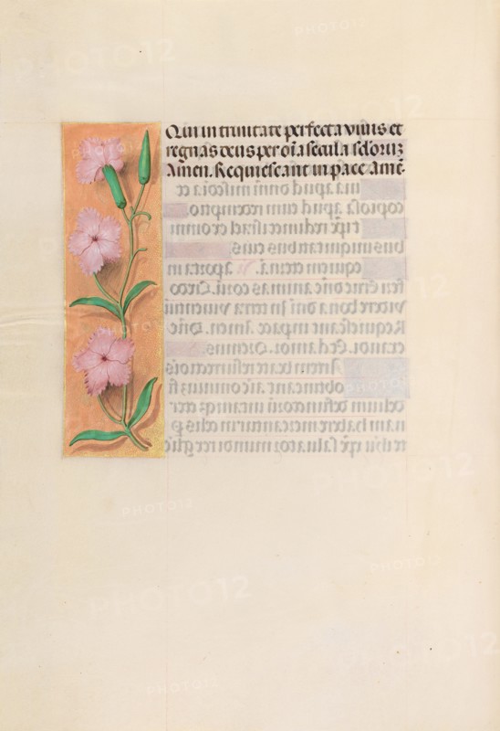 Hours of Queen Isabella the Catholic, Queen of Spain:  Fol. 256v, Virgin and Child, c. 1495-1500. And associates Master of the First Prayerbook of Maximillian (Flemish, c. 1444-1519). Ink, tempera, and gold on vellum; codex: 22.5 x 15.2 cm (8 7/8 x 6 in.).