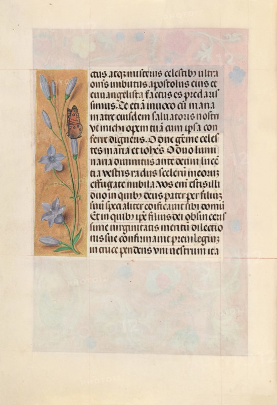 Hours of Queen Isabella the Catholic, Queen of Spain:  Fol. 262v, c. 1495-1500. And associates Master of the First Prayerbook of Maximillian (Flemish, c. 1444-1519). Ink, tempera, and gold on vellum; codex: 22.5 x 15.2 cm (8 7/8 x 6 in.).