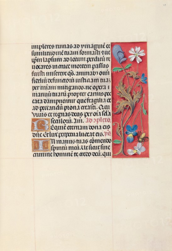 Hours of Queen Isabella the Catholic, Queen of Spain:  Fol. 29r, c. 1500. And associates Master of the First Prayerbook of Maximillian (Flemish, c. 1444-1519). Ink, tempera, and gold on vellum; codex: 22.5 x 15.2 cm (8 7/8 x 6 in.)