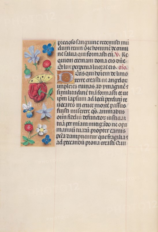 Hours of Queen Isabella the Catholic, Queen of Spain:  Fol. 29v, c. 1495-1500. And associates Master of the First Prayerbook of Maximillian (Flemish, c. 1444-1519). Ink, tempera, and gold on vellum; codex: 22.5 x 15.2 cm (8 7/8 x 6 in.).