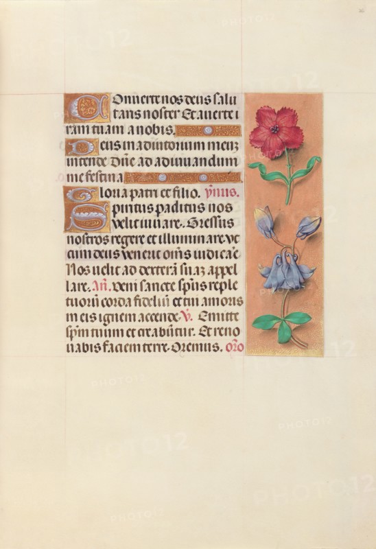 Hours of Queen Isabella the Catholic, Queen of Spain:  Fol. 36r, c. 1500. And associates Master of the First Prayerbook of Maximillian (Flemish, c. 1444-1519). Ink, tempera, and gold on vellum; codex: 22.5 x 15.2 cm (8 7/8 x 6 in.)