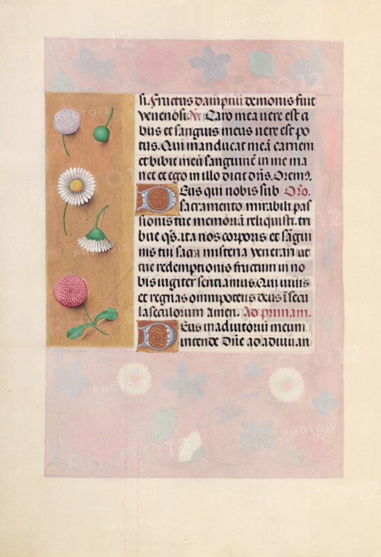 Hours of Queen Isabella the Catholic, Queen of Spain:  Fol. 44v, c. 1500. And associates Master of the First Prayerbook of Maximillian (Flemish, c. 1444-1519). Ink, tempera, and gold on vellum; codex: 22.5 x 15.2 cm (8 7/8 x 6 in.)