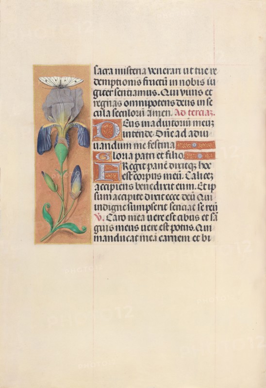 Hours of Queen Isabella the Catholic, Queen of Spain:  Fol. 45v, c. 1495-1500. And associates Master of the First Prayerbook of Maximillian (Flemish, c. 1444-1519). Ink, tempera, and gold on vellum; codex: 22.5 x 15.2 cm (8 7/8 x 6 in.).