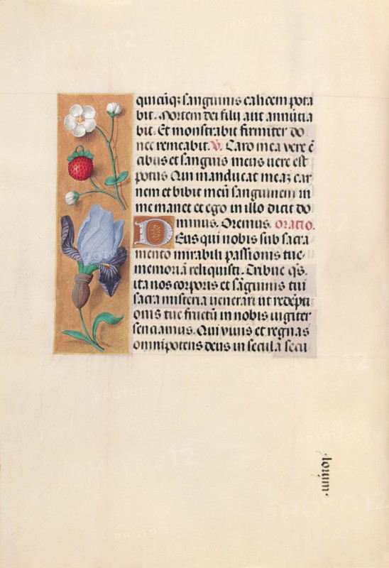 Hours of Queen Isabella the Catholic, Queen of Spain:  Fol. 46v, c. 1500. And associates Master of the First Prayerbook of Maximillian (Flemish, c. 1444-1519). Ink, tempera, and gold on vellum; codex: 22.5 x 15.2 cm (8 7/8 x 6 in.)