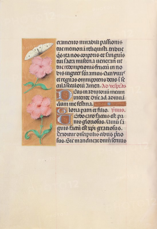 Hours of Queen Isabella the Catholic, Queen of Spain:  Fol. 47v, c. 1495-1500. And associates Master of the First Prayerbook of Maximillian (Flemish, c. 1444-1519). Ink, tempera, and gold on vellum; codex: 22.5 x 15.2 cm (8 7/8 x 6 in.).