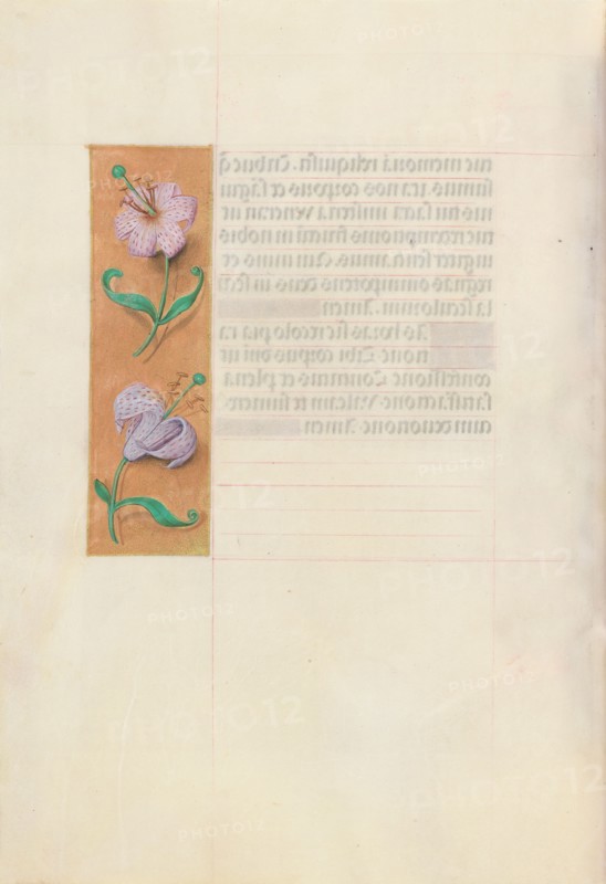 Hours of Queen Isabella the Catholic, Queen of Spain:  Fol. 49v, c. 1500. And associates Master of the First Prayerbook of Maximillian (Flemish, c. 1444-1519). Ink, tempera, and gold on vellum; codex: 22.5 x 15.2 cm (8 7/8 x 6 in.)