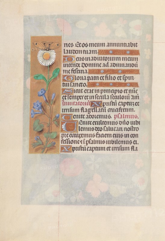 Hours of Queen Isabella the Catholic, Queen of Spain:  Fol. 50v, c. 1500. And associates Master of the First Prayerbook of Maximillian (Flemish, c. 1444-1519). Ink, tempera, and gold on vellum; codex: 22.5 x 15.2 cm (8 7/8 x 6 in.)
