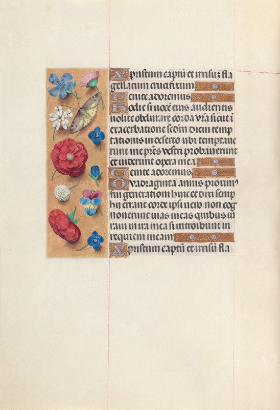 Hours of Queen Isabella the Catholic, Queen of Spain:  Fol. 51v, c. 1495-1500. And associates Master of the First Prayerbook of Maximillian (Flemish, c. 1444-1519). Ink, tempera, and gold on vellum; codex: 22.5 x 15.2 cm (8 7/8 x 6 in.).