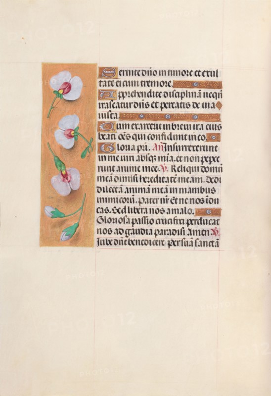 Hours of Queen Isabella the Catholic, Queen of Spain:  Fol. 53v, c. 1500. And associates Master of the First Prayerbook of Maximillian (Flemish, c. 1444-1519). Ink, tempera, and gold on vellum; codex: 22.5 x 15.2 cm (8 7/8 x 6 in.)