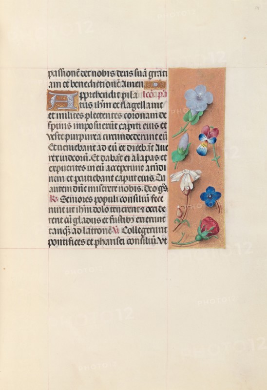 Hours of Queen Isabella the Catholic, Queen of Spain:  Fol. 54r, c. 1500. And associates Master of the First Prayerbook of Maximillian (Flemish, c. 1444-1519). Ink, tempera, and gold on vellum; codex: 22.5 x 15.2 cm (8 7/8 x 6 in.)