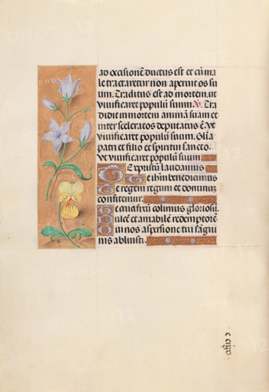 Hours of Queen Isabella the Catholic, Queen of Spain:  Fol. 55v, c. 1495-1500. And associates Master of the First Prayerbook of Maximillian (Flemish, c. 1444-1519). Ink, tempera, and gold on vellum; codex: 22.5 x 15.2 cm (8 7/8 x 6 in.).