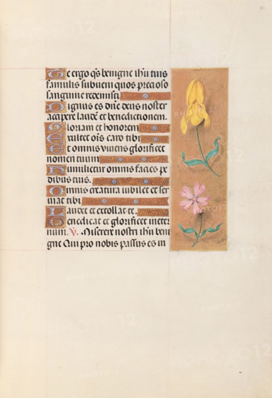 Hours of Queen Isabella the Catholic, Queen of Spain:  Fol. 56r, c. 1500. And associates Master of the First Prayerbook of Maximillian (Flemish, c. 1444-1519). Ink, tempera, and gold on vellum; codex: 22.5 x 15.2 cm (8 7/8 x 6 in.)