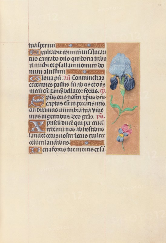 Hours of Queen Isabella the Catholic, Queen of Spain:  Fol. 58r, c. 1500. And associates Master of the First Prayerbook of Maximillian (Flemish, c. 1444-1519). Ink, tempera, and gold on vellum; codex: 22.5 x 15.2 cm (8 7/8 x 6 in.)