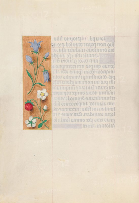 Hours of Queen Isabella the Catholic, Queen of Spain:  Fol. 60v, c. 1495-1500. And associates Master of the First Prayerbook of Maximillian (Flemish, c. 1444-1519). Ink, tempera, and gold on vellum; codex: 22.5 x 15.2 cm (8 7/8 x 6 in.).