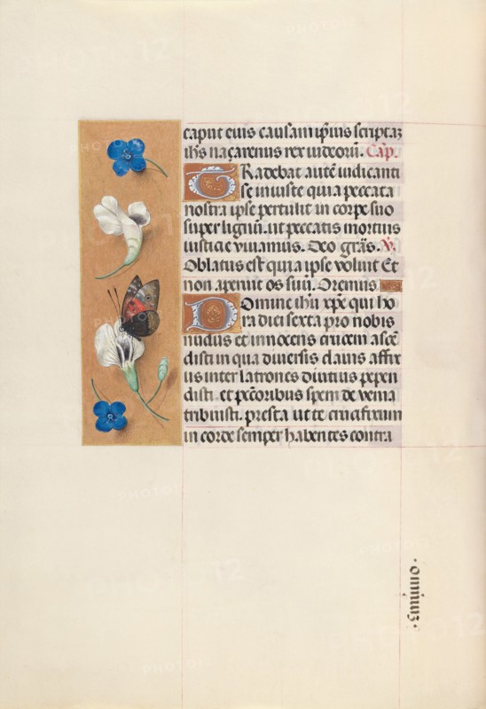 Hours of Queen Isabella the Catholic, Queen of Spain:  Fol. 67v, c. 1495-1500. And associates Master of the First Prayerbook of Maximillian (Flemish, c. 1444-1519). Ink, tempera, and gold on vellum; codex: 22.5 x 15.2 cm (8 7/8 x 6 in.).