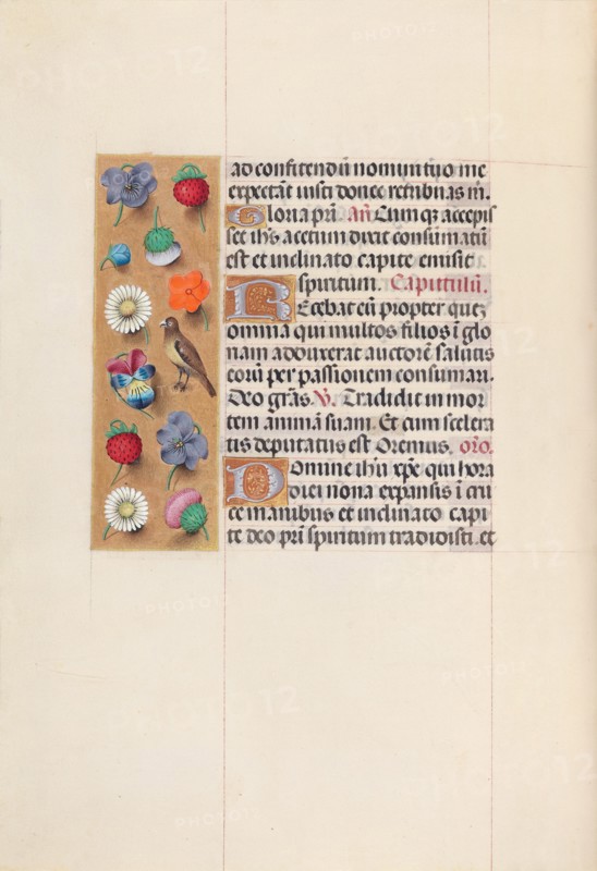 Hours of Queen Isabella the Catholic, Queen of Spain:  Fol. 70v, c. 1495-1500. And associates Master of the First Prayerbook of Maximillian (Flemish, c. 1444-1519). Ink, tempera, and gold on vellum; codex: 22.5 x 15.2 cm (8 7/8 x 6 in.).