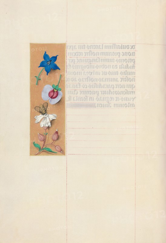 Hours of Queen Isabella the Catholic, Queen of Spain:  Fol. 71v, c. 1495-1500. And associates Master of the First Prayerbook of Maximillian (Flemish, c. 1444-1519). Ink, tempera, and gold on vellum; codex: 22.5 x 15.2 cm (8 7/8 x 6 in.).