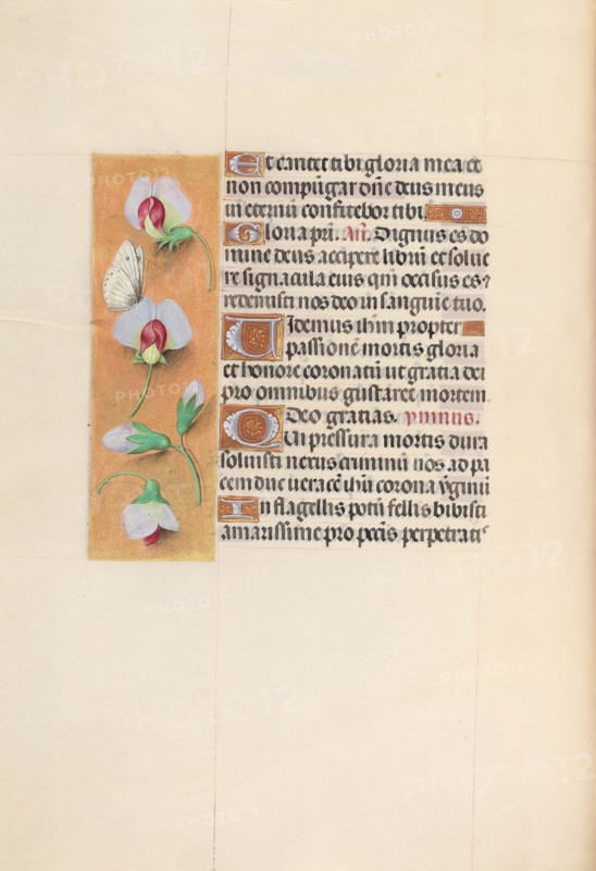 Hours of Queen Isabella the Catholic, Queen of Spain:  Fol. 74v, c. 1500. And associates Master of the First Prayerbook of Maximillian (Flemish, c. 1444-1519). Ink, tempera, and gold on vellum; codex: 22.5 x 15.2 cm (8 7/8 x 6 in.)