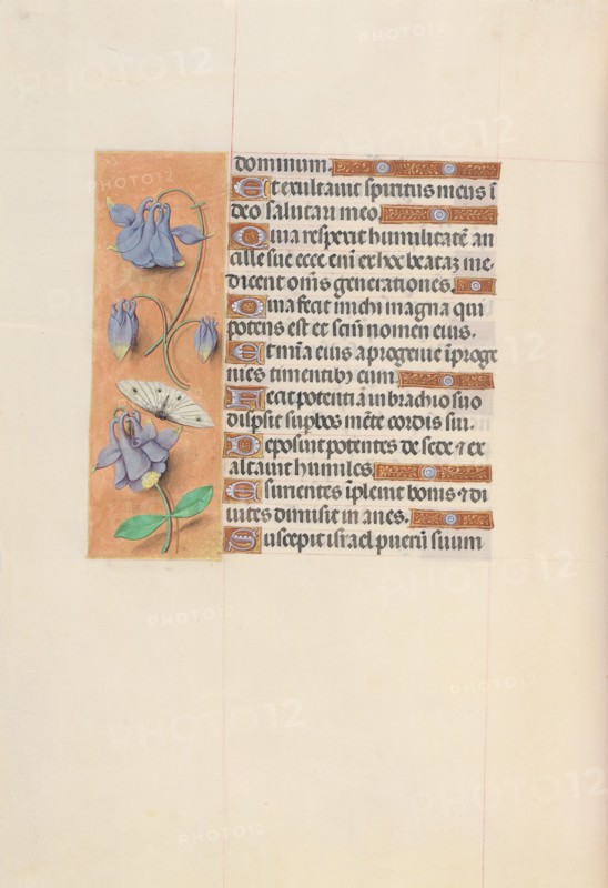 Hours of Queen Isabella the Catholic, Queen of Spain:  Fol. 75v, c. 1500. And associates Master of the First Prayerbook of Maximillian (Flemish, c. 1444-1519). Ink, tempera, and gold on vellum; codex: 22.5 x 15.2 cm (8 7/8 x 6 in.)
