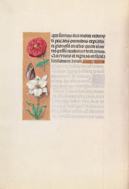 Hours of Queen Isabella the Catholic, Queen of Spain:  Fol. 76v, c. 1495-1500. And associates Master of the First Prayerbook of Maximillian (Flemish, c. 1444-1519). Ink, tempera, and gold on vellum; codex: 22.5 x 15.2 cm (8 7/8 x 6 in.).