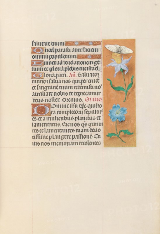 Hours of Queen Isabella the Catholic, Queen of Spain:  Fol. 79r, c. 1500. And associates Master of the First Prayerbook of Maximillian (Flemish, c. 1444-1519). Ink, tempera, and gold on vellum; codex: 22.5 x 15.2 cm (8 7/8 x 6 in.)