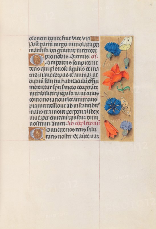 Hours of Queen Isabella the Catholic, Queen of Spain:  Fol. 85r, c. 1500. And associates Master of the First Prayerbook of Maximillian (Flemish, c. 1444-1519). Ink, tempera, and gold on vellum; codex: 22.5 x 15.2 cm (8 7/8 x 6 in.)
