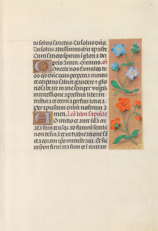 Hours of Queen Isabella the Catholic, Queen of Spain:  Fol. 90r, c. 1500. And associates Master of the First Prayerbook of Maximillian (Flemish, c. 1444-1519). Ink, tempera, and gold on vellum; codex: 22.5 x 15.2 cm (8 7/8 x 6 in.)