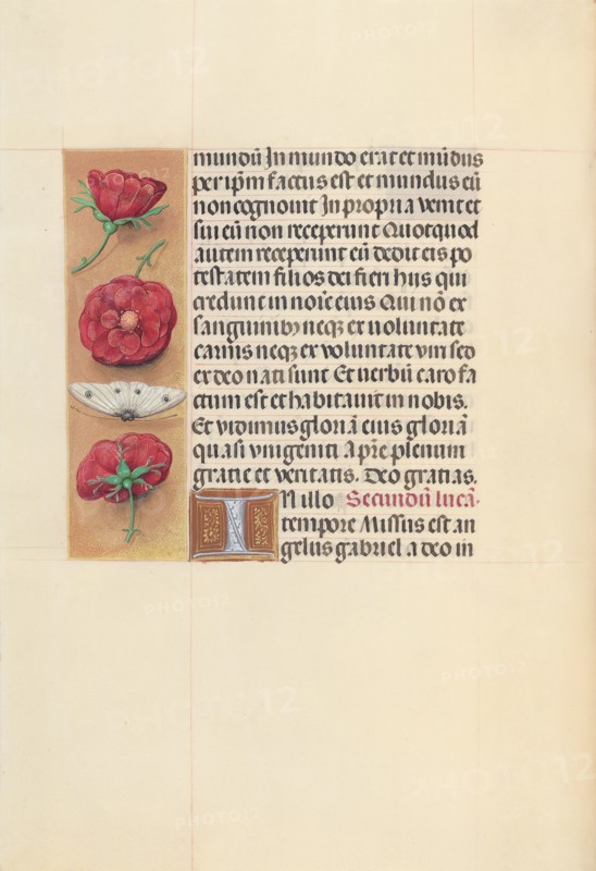 Hours of Queen Isabella the Catholic, Queen of Spain:  Fol. 93v, c. 1495-1500. And associates Master of the First Prayerbook of Maximillian (Flemish, c. 1444-1519). Ink, tempera, and gold on vellum; codex: 22.5 x 15.2 cm (8 7/8 x 6 in.).