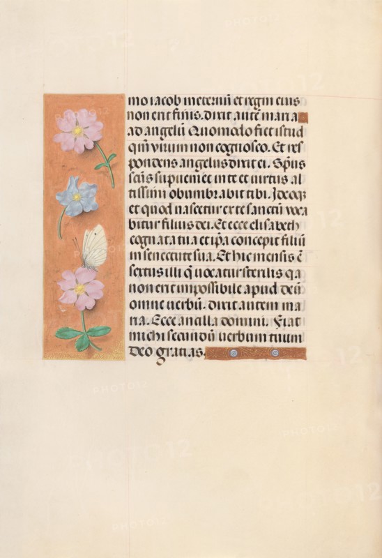 Hours of Queen Isabella the Catholic, Queen of Spain:  Fol. 94v, c. 1500. And associates Master of the First Prayerbook of Maximillian (Flemish, c. 1444-1519). Ink, tempera, and gold on vellum; codex: 22.5 x 15.2 cm (8 7/8 x 6 in.)