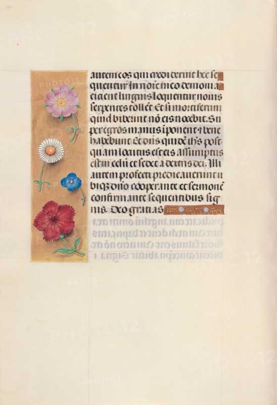 Hours of Queen Isabella the Catholic, Queen of Spain:  Fol. 96v, c. 1500. And associates Master of the First Prayerbook of Maximillian (Flemish, c. 1444-1519). Ink, tempera, and gold on vellum; codex: 22.5 x 15.2 cm (8 7/8 x 6 in.)