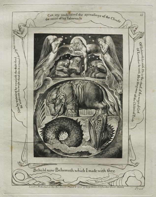 The Book of Job:  Pl. 15, Behold now Behemoth which I made with thee, 1825. William Blake (British, 1757-1827). Engraving