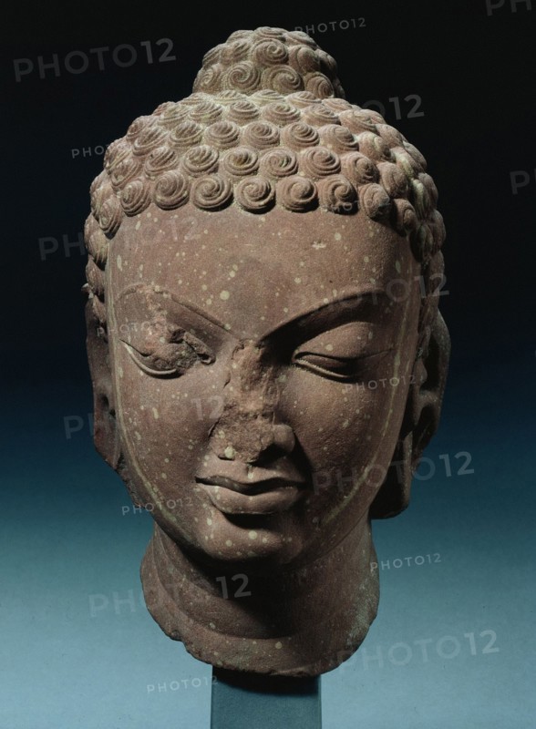Head of Buddha, 400s. Northern India, Mathura, Gupta Period (320-647). Sandstone; overall: 30.6 x 16.6 cm (12 1/16 x 6 9/16 in.).