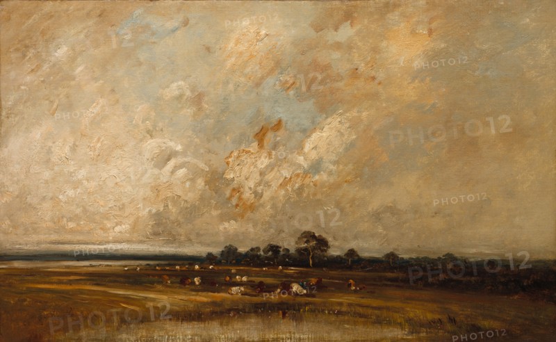 Marshland, 1860s-1870s. Jules Dupré (French, 1811-1889). Oil on fabric; framed: 60.4 x 88.9 x 7.7 cm (23 3/4 x 35 x 3 1/16 in.); unframed: 46.4 x 74.2 cm (18 1/4 x 29 3/16 in.)
