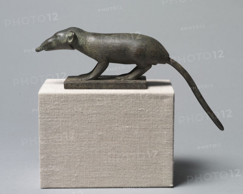 Shrew, 305-30 BC. Egypt, Greco-Roman Period, probably Ptolemaic Dynasty. Bronze, solid cast; overall: 17.3 cm (6 13/16 in.); with tang: 6.9 cm (2 11/16 in.); without tang: 4.9 cm (1 15/16 in.); base: 7 x 3.9 x 0.7 cm (2 3/4 x 1 9/16 x 1/4 in.).
