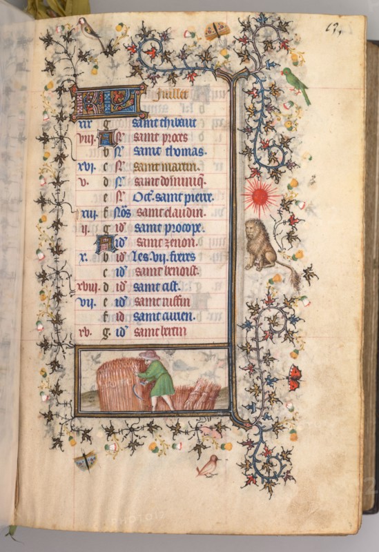 Hours of Charles the Noble, King of Navarre (1361-1425): fol. 7r, July, c. 1405. Master of the Brussels Initials and Associates (French). Ink, tempera, and gold on vellum; codex: 20.3 x 15.7 x 7 cm (8 x 6 3/16 x 2 3/4 in.)