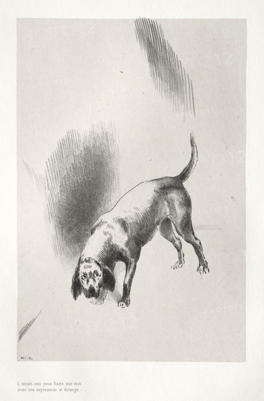 La Maison hantée:  He Held His Eyes Fixed on Me with Such a Strange Expression, 1896. Odilon Redon (French, 1840-1916). Lithograph