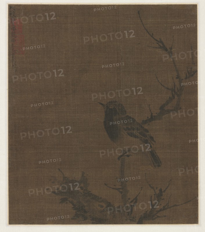 Sleeping Bird on a Prunus Branch, 1400s. Bian Wenjin (Chinese, about 1354-1428). Album leaf, ink on silk; overall: 24.3 x 21 cm (9 9/16 x 8 1/4 in.).