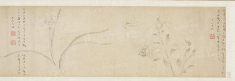 Ink Flowers, 1361. Zhao Zhong (Chinese, second half of the 1300s). Handscroll, ink on paper; overall: 31.8 x 153.2 cm (12 1/2 x 60 5/16 in.).