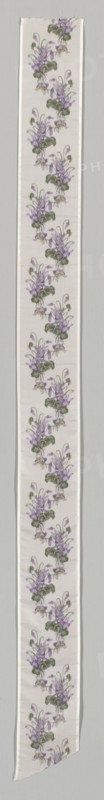 Ribbon, 1800s. France, 19th century. Silk; overall: 182.2 x 14.9 cm (71 3/4 x 5 7/8 in.).