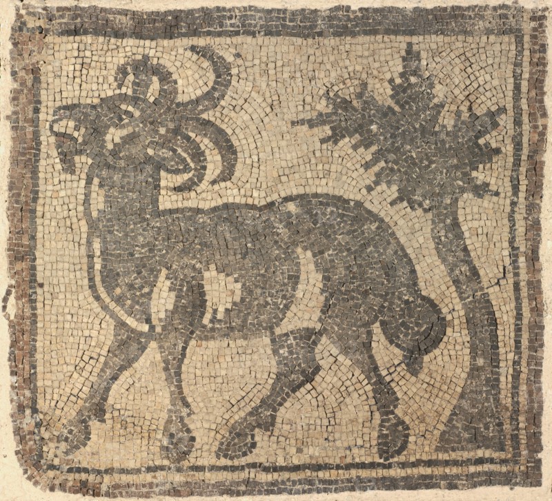 Fragment of a Floor Mosaic: Ibex near a Tree, 400s. Byzantium, Northern Syria, Byzantine period, 5th century. Marble tesserae; overall: 85.1 x 94.6 cm (33 1/2 x 37 1/4 in.); mounted: 87.6 x 96.5 cm (34 1/2 x 38 in.).