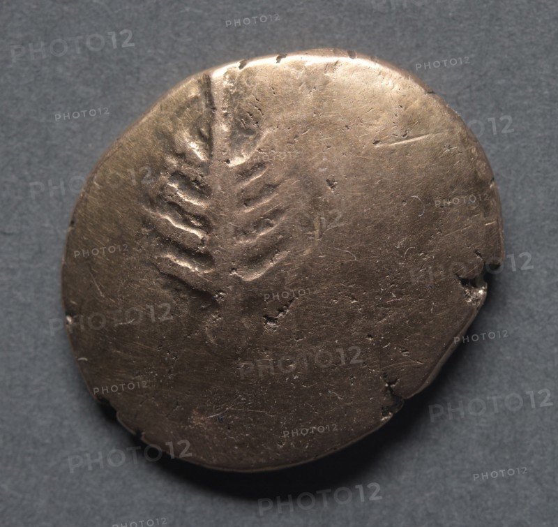 Catti Stater of the Dobunni (reverse), c. 40 B.C.. England (Ancient Britain), 1st century B.C.. Gold
