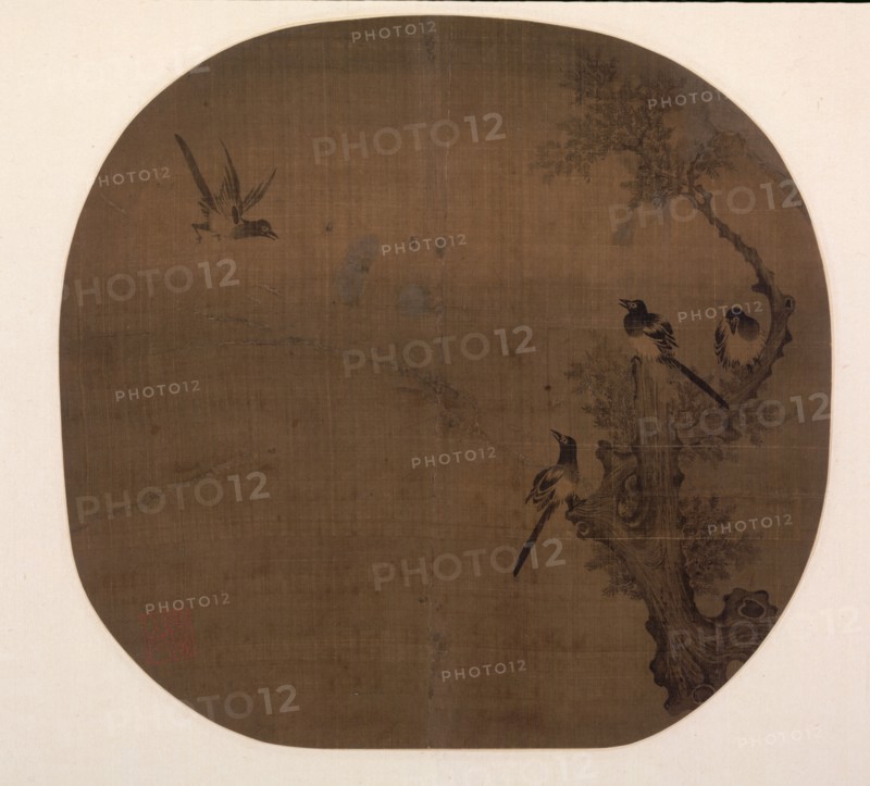 Returning Birds and Old Cypress, late 12th - early 13th Century. China, Southern Song dynasty (1127-1279). Album leaf, ink on silk; image: 23.8 x 24.9 cm (9 3/8 x 9 13/16 in.); overall: 33.3 x 40.5 cm (13 1/8 x 15 15/16 in.).