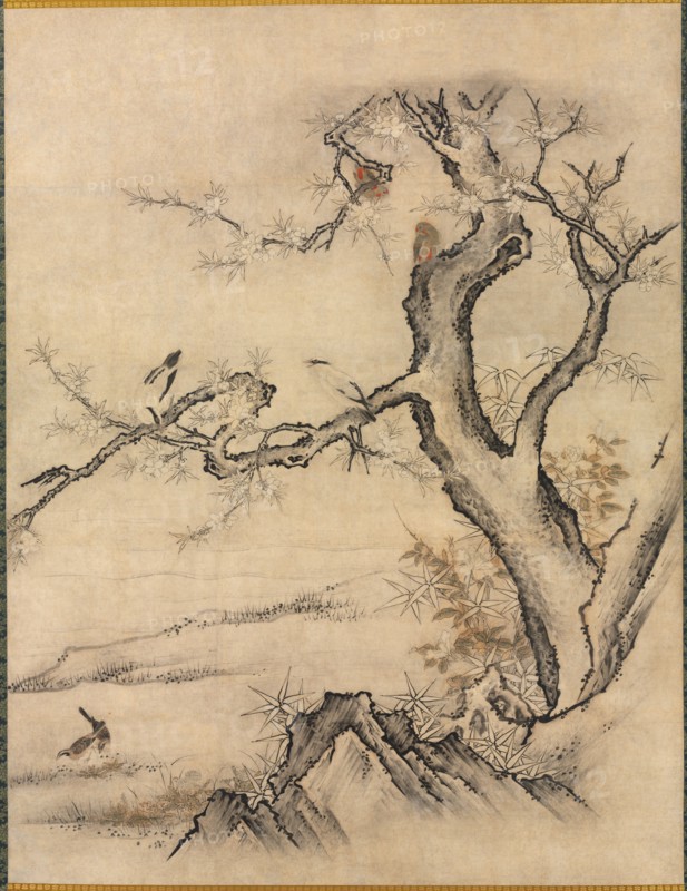 Flowers and Birds in a Spring Landscape, 1500s. Attributed to Kano Motonobu (Japanese, c. 1476-1559). Fusuma panel mounted as a hanging scroll; ink and color on paper;