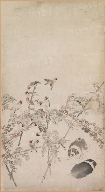 Puppies, Sparrows and Chrysanthemums, 1754-1799. Nagasawa Rosetsu (Japanese, 1754-1799). Fusuma panel mounted as a hanging scroll; ink and slight color on paper; overall: 211.4 x 94 cm (83 1/4 x 37 in.); painted surface: 167.6 x 91.5 cm (66 x 36 in.).