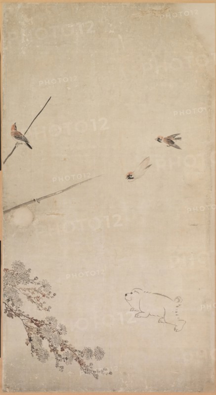 Puppies, Sparrows and Chrysanthemums, 1754-1799. Nagasawa Rosetsu (Japanese, 1754-1799). Fusuma panel mounted as a hanging scroll; ink and slight color on paper; overall: 211.4 x 94 cm (83 1/4 x 37 in.); painted surface: 167.6 x 91.5 cm (66 x 36 in.).