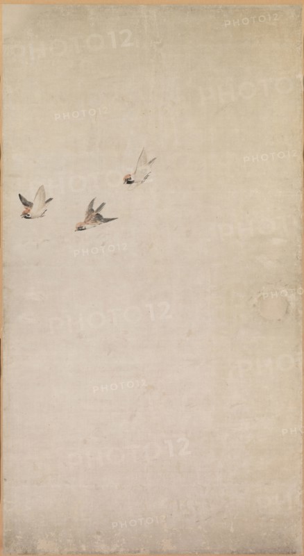 Puppies, Sparrows and Chrysanthemums, 1754-1799. Nagasawa Rosetsu (Japanese, 1754-1799). Fusuma panel mounted as a hanging scroll; ink and slight color on paper; overall: 211.4 x 94 cm (83 1/4 x 37 in.); painted surface: 167.6 x 91.5 cm (66 x 36 in.).